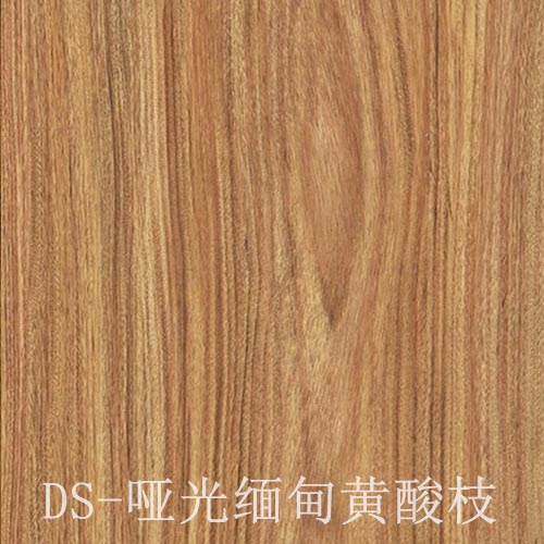 门板PVC木纹热转印膜DS-哑光缅甸黄酸枝