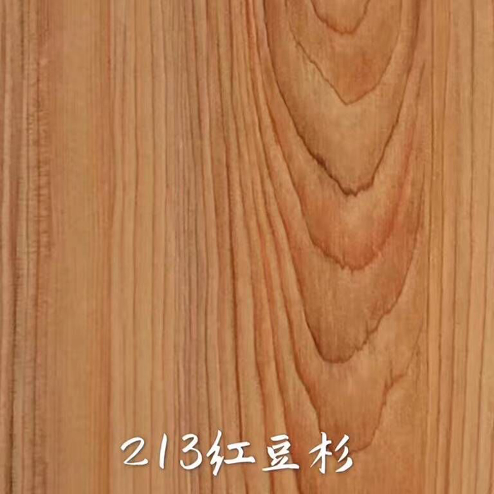 213红豆杉